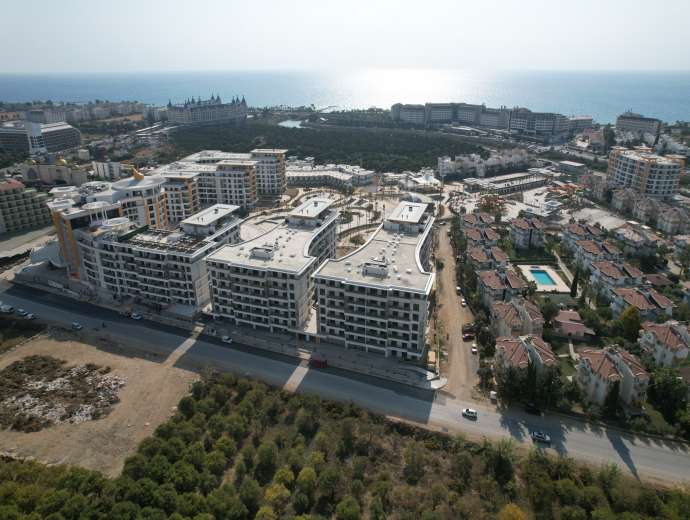 Plan 19